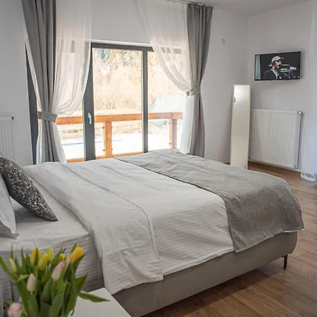 Yael Luxury 5 * Busteni